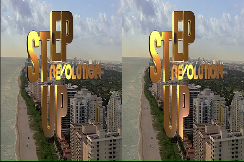 3D���������Ƶ����Ч��